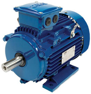 Regal Beloit (Marathon) MLA series ac induction motor