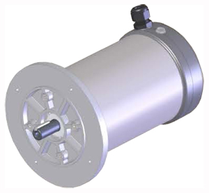 Marathon stainless steel IP66 motor with flange for the food industry