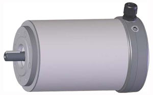 Marathon stainless steel IP66 washdown motor for the food industry